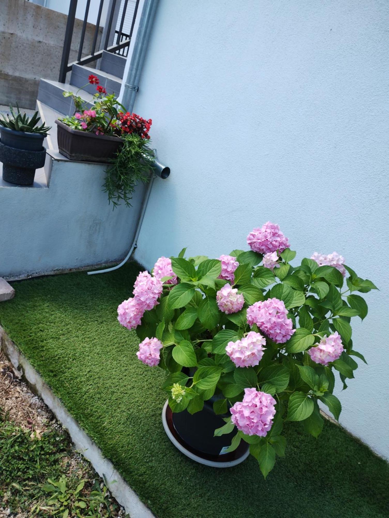 Apartman Enia Murvica  Номер фото